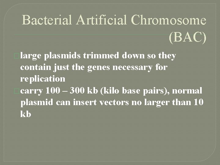 Bacterial Artificial Chromosome (BAC) �large plasmids trimmed down so they contain just the genes