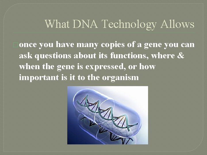 What DNA Technology Allows �once you have many copies of a gene you can