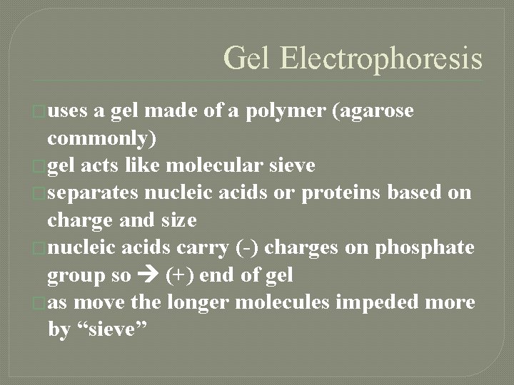 Gel Electrophoresis �uses a gel made of a polymer (agarose commonly) �gel acts like