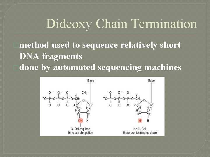Dideoxy Chain Termination �method used to sequence relatively short DNA fragments �done by automated