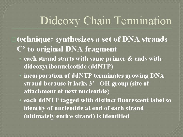 Dideoxy Chain Termination �technique: synthesizes a set of DNA strands C’ to original DNA