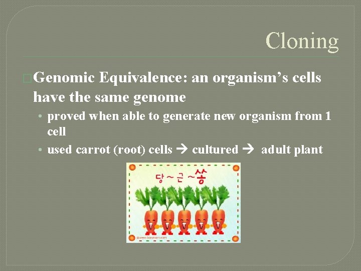 Cloning �Genomic Equivalence: an organism’s cells have the same genome • proved when able