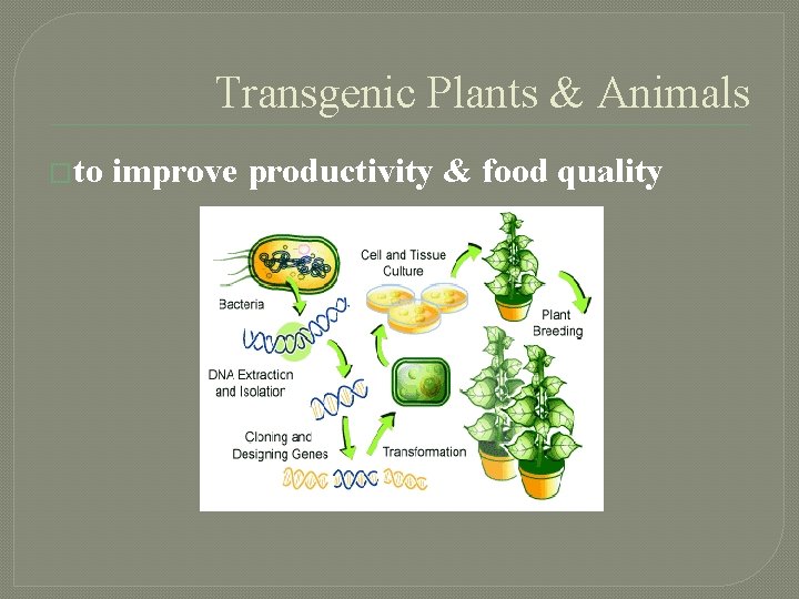 Transgenic Plants & Animals �to improve productivity & food quality 