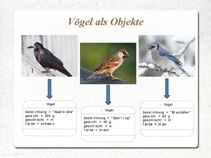 Vögel als Objekte 