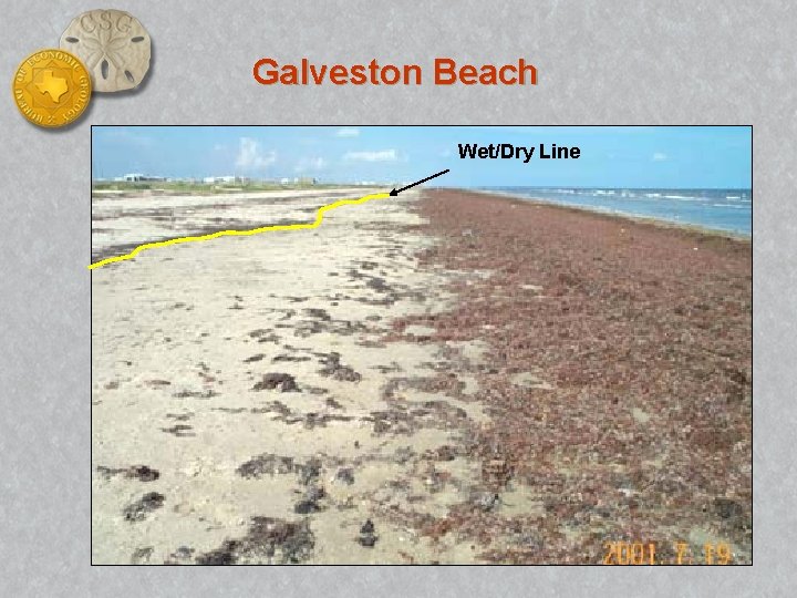Galveston Beach Wet/Dry Line 