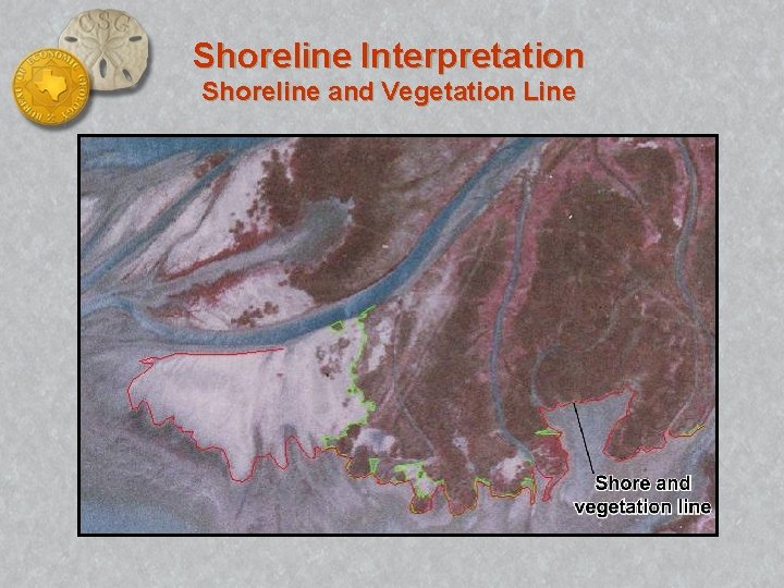 Shoreline Interpretation Shoreline and Vegetation Line 