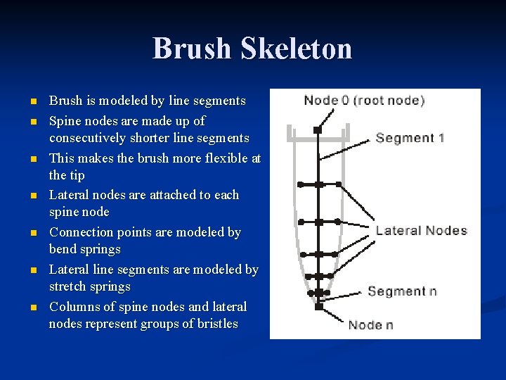 Brush Skeleton n n n Brush is modeled by line segments Spine nodes are