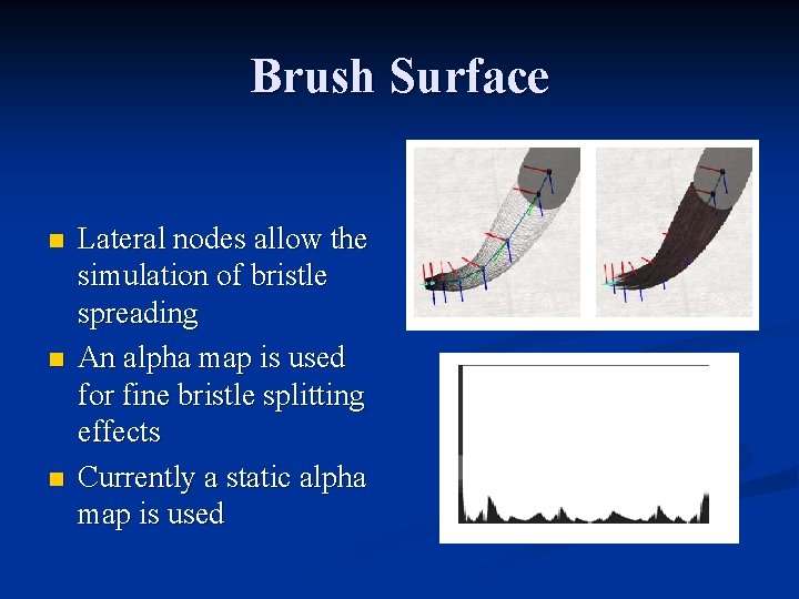 Brush Surface n n n Lateral nodes allow the simulation of bristle spreading An