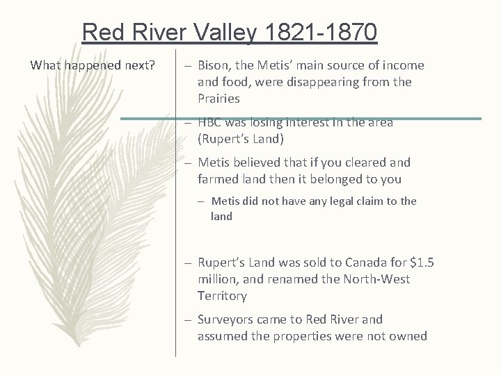 Red River Valley 1821 -1870 What happened next? – Bison, the Metis’ main source
