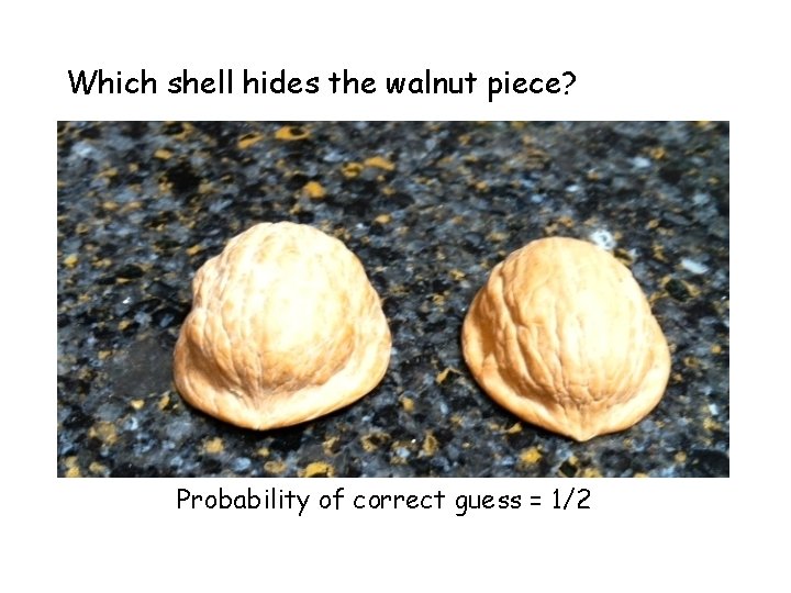 Which shell hides the walnut piece? Probability of correct guess = 1/2 