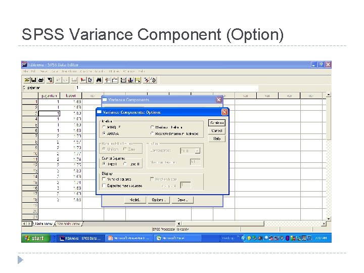 SPSS Variance Component (Option) 