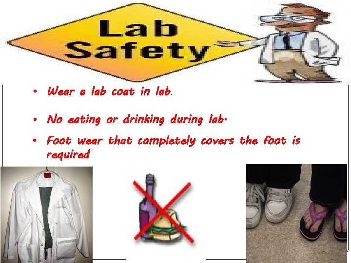  • Wear a lab coat in lab. • No eating or drinking during