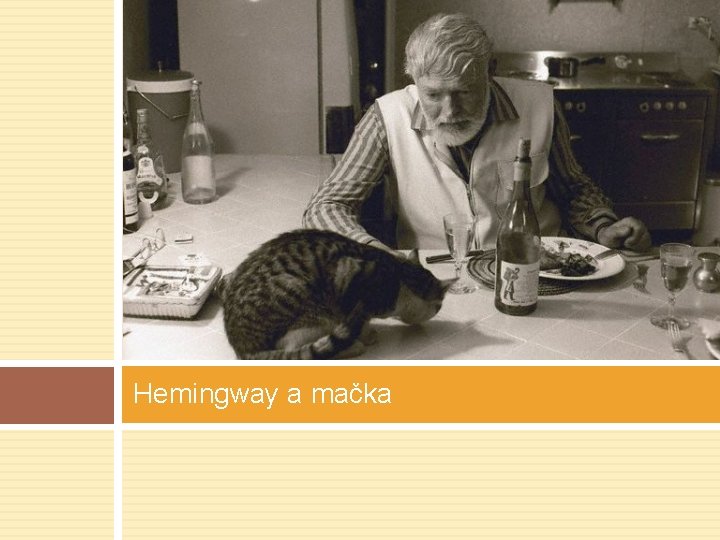 Hemingway a mačka 