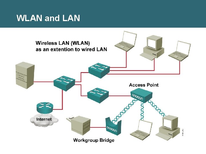 WLAN and LAN WLAN and LAN