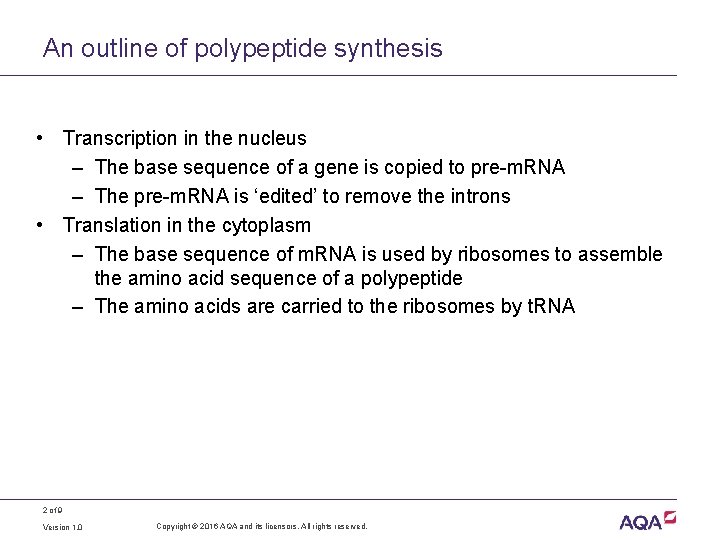 An outline of polypeptide synthesis • Transcription in the nucleus – The base sequence