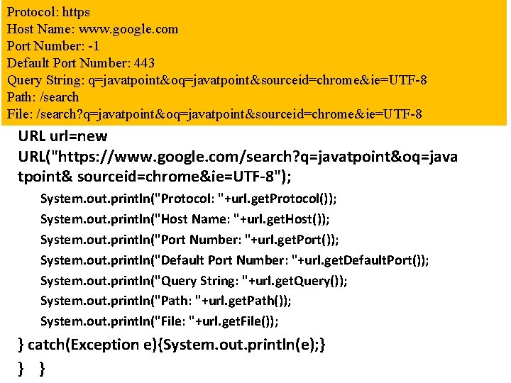 Protocol: https import java. net. *; Host Name: www. google. com public class URLDemo{ Protocol: https import java. net. *; Host Name: www. google. com public class URLDemo{