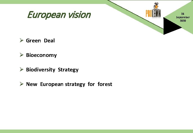The vision for a forest and woodbased industry
