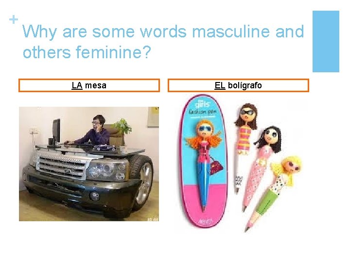 + Why are some words masculine and others feminine? LA mesa EL bolígrafo 