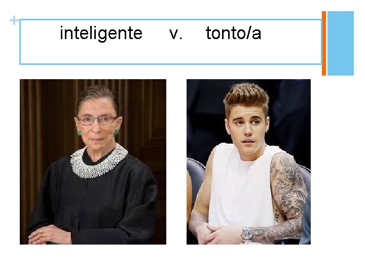 + inteligente v. tonto/a 