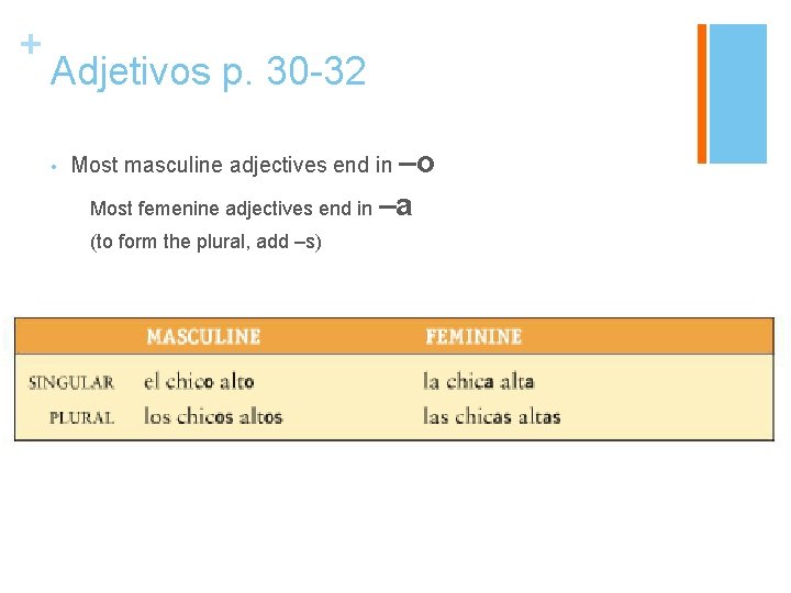 + Adjetivos p. 30 -32 • Most masculine adjectives end in –o Most femenine