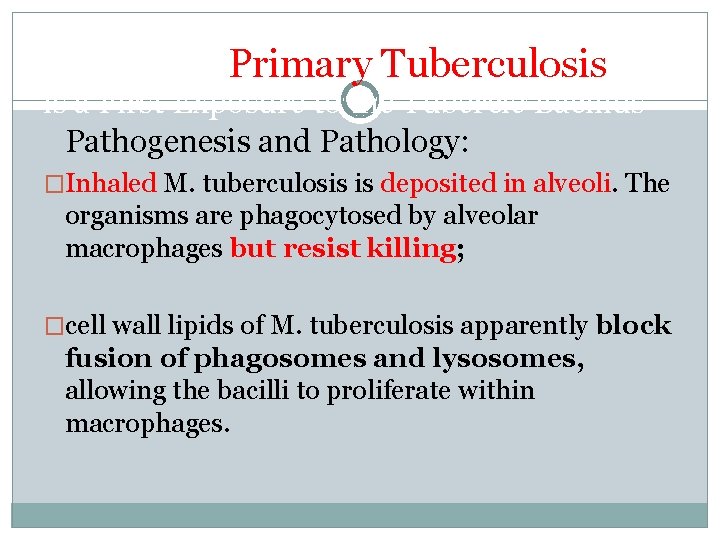 Primary Tuberculosis is a First Exposure to the Tubercle Bacillus Pathogenesis and Pathology: �Inhaled