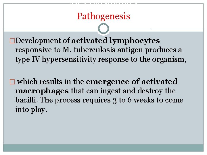 and Pathology: Pathogenesis �Development of activated lymphocytes responsive to M. tuberculosis antigen produces a