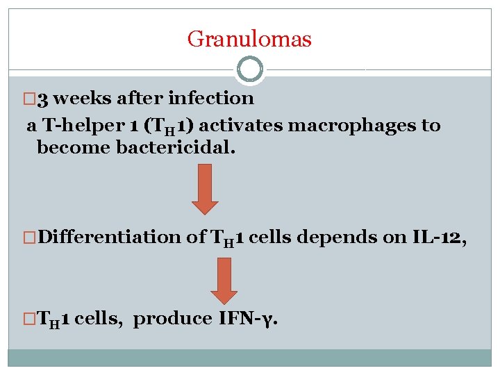 Granulomas � 3 weeks after infection a T-helper 1 (TH 1) activates macrophages to