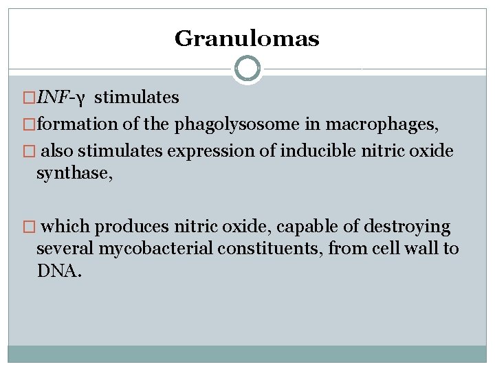 Granulomas �INF-γ stimulates �formation of the phagolysosome in macrophages, � also stimulates expression of