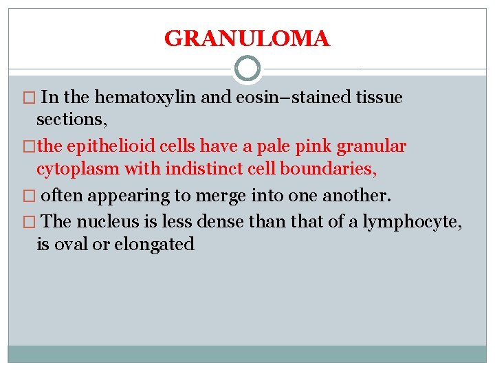 GRANULOMA � In the hematoxylin and eosin–stained tissue sections, �the epithelioid cells have a