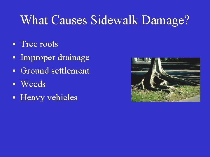 What Causes Sidewalk Damage? • • • Tree roots Improper drainage Ground settlement Weeds