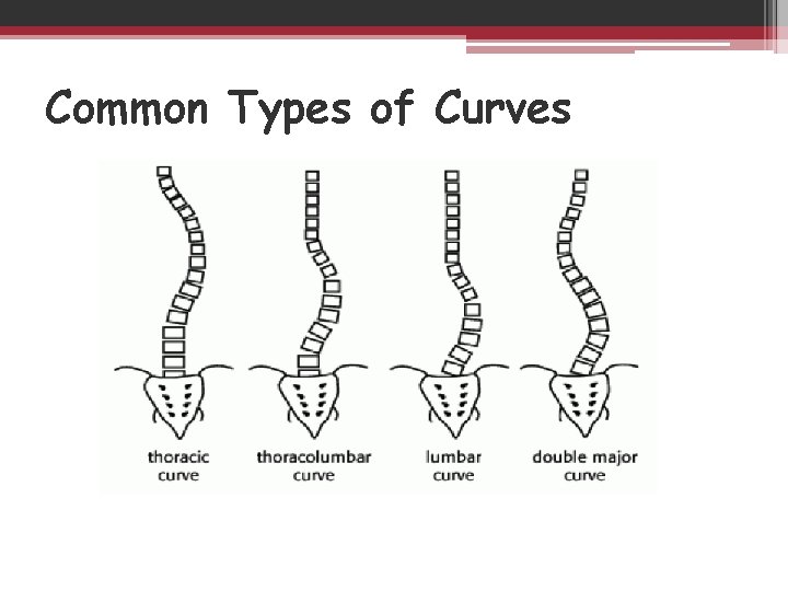 Common Types of Curves 