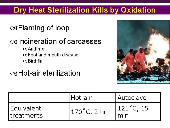 Dry Heat Sterilization Kills by Oxidation Flaming of loop Incineration of carcasses Anthrax Foot