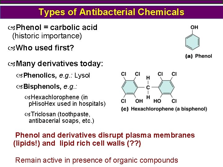 Types of Antibacterial Chemicals Phenol = carbolic acid (historic importance) Who used first? Many