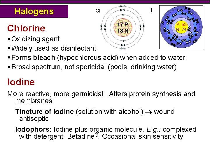 Halogens Cl I Chlorine § Oxidizing agent § Widely used as disinfectant § Forms