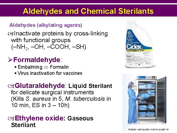 Aldehydes and Chemical Sterilants Aldehydes (alkylating agents) Inactivate proteins by cross-linking with functional groups
