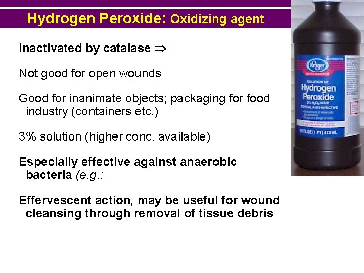 Hydrogen Peroxide: Oxidizing agent Inactivated by catalase Not good for open wounds Good for