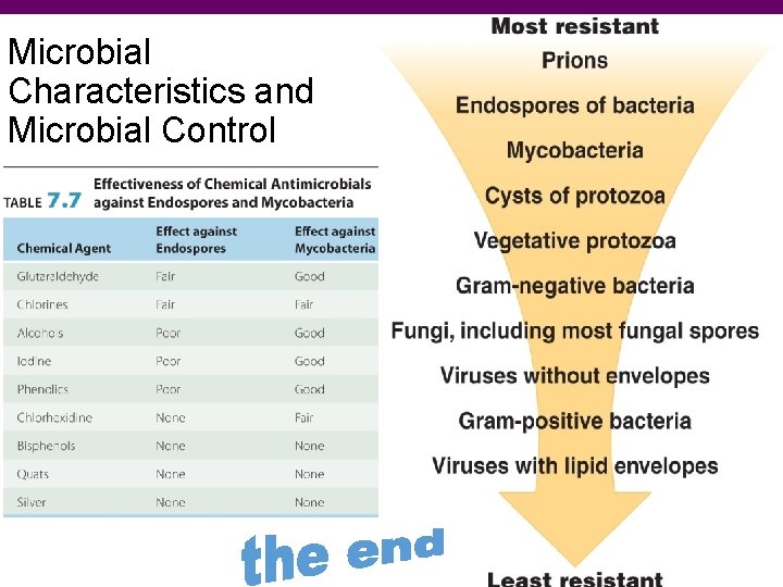 Microbial Characteristics and Microbial Control Fig 7. 11 