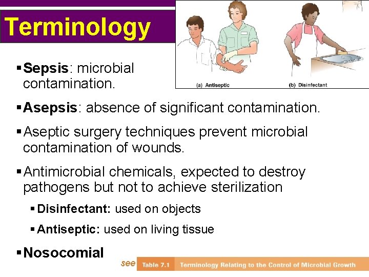 Terminology §Sepsis: microbial contamination. §Asepsis: absence of significant contamination. §Aseptic surgery techniques prevent microbial