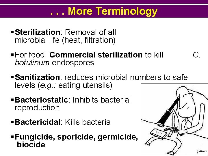 . . . More Terminology §Sterilization: Removal of all microbial life (heat, filtration) §For
