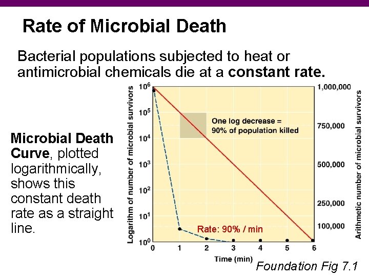 Rate of Microbial Death Bacterial populations subjected to heat or antimicrobial chemicals die at