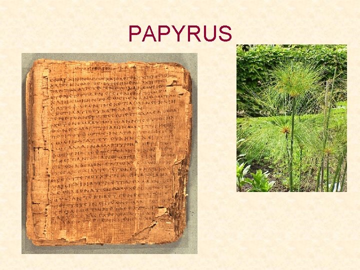 PAPYRUS 