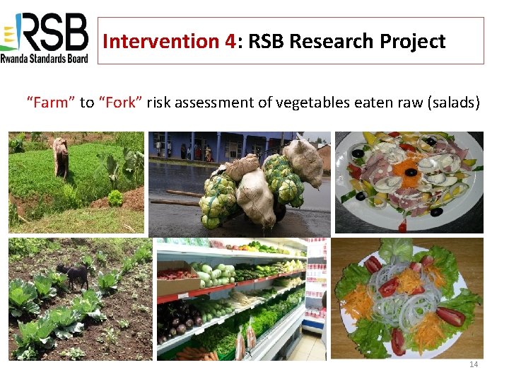 Intervention 4: RSB Research Project “Farm” to “Fork” risk assessment of vegetables eaten raw