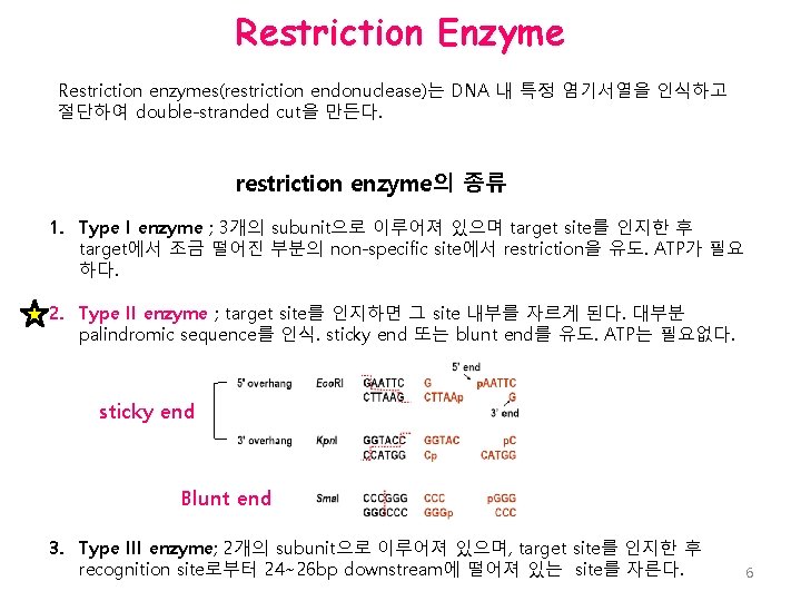 Restriction Enzyme Restriction enzymes(restriction endonuclease)는 DNA 내 특정 염기서열을 인식하고 절단하여 double-stranded cut을 만든다.