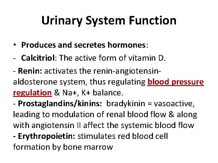 Urinary System Function • Produces and secretes hormones: - Calcitriol: The active form of