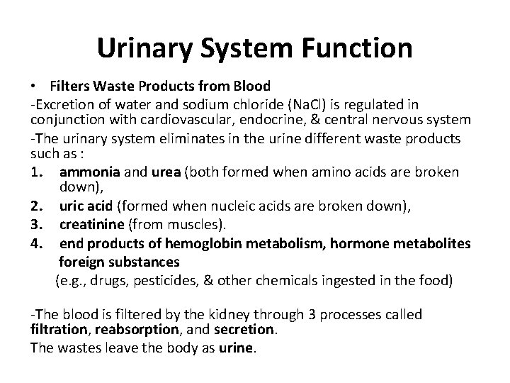 Urinary System Function • Filters Waste Products from Blood -Excretion of water and sodium