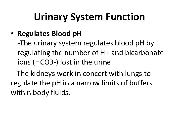 Urinary System Function • Regulates Blood p. H -The urinary system regulates blood p.