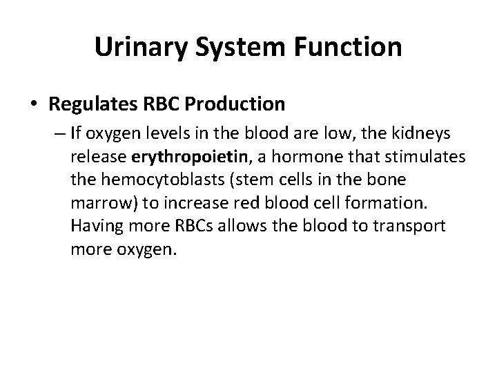 Urinary System Function • Regulates RBC Production – If oxygen levels in the blood