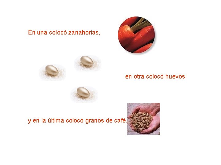 En una colocó zanahorias, en otra colocó huevos y en la última colocó granos En una colocó zanahorias, en otra colocó huevos y en la última colocó granos