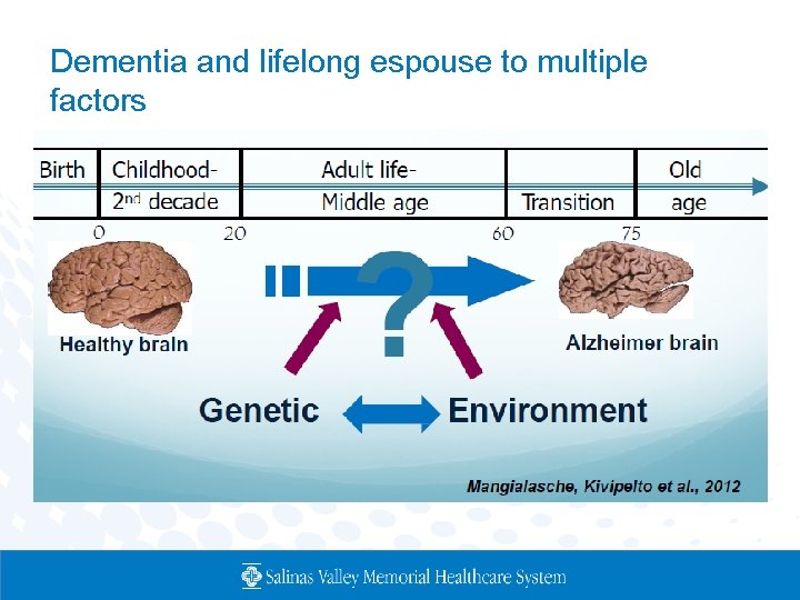 Understanding The Aging Brain Rene Colorado MD Ph