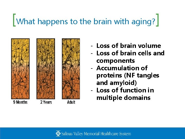 [What happens to the brain with aging? ] - Loss of brain volume -
